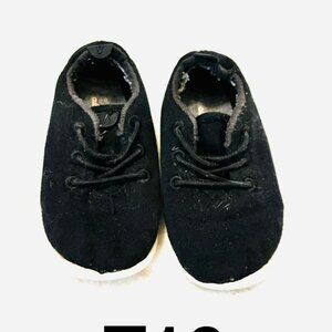 All birds small birds black size T10